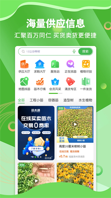 苗木通平台