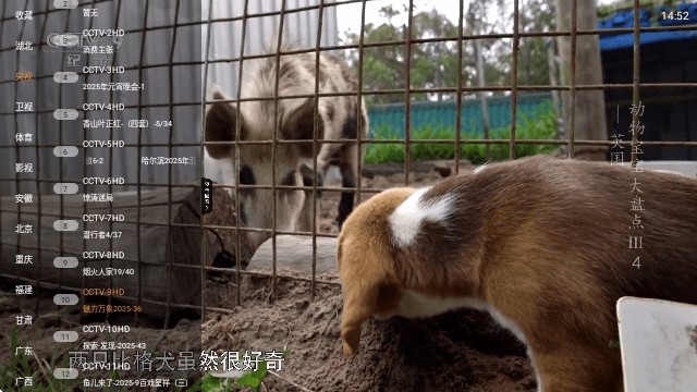 云帆直播