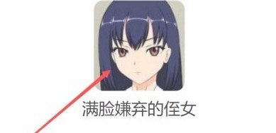 满脸嫌弃的侄女汉化版