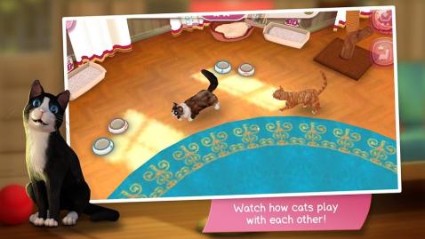 猫舍特别版