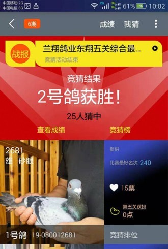 信鸽