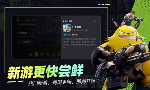 肥猫云电脑