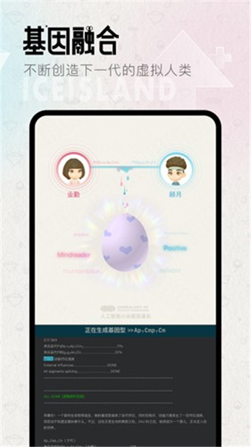 小冰岛社交平台