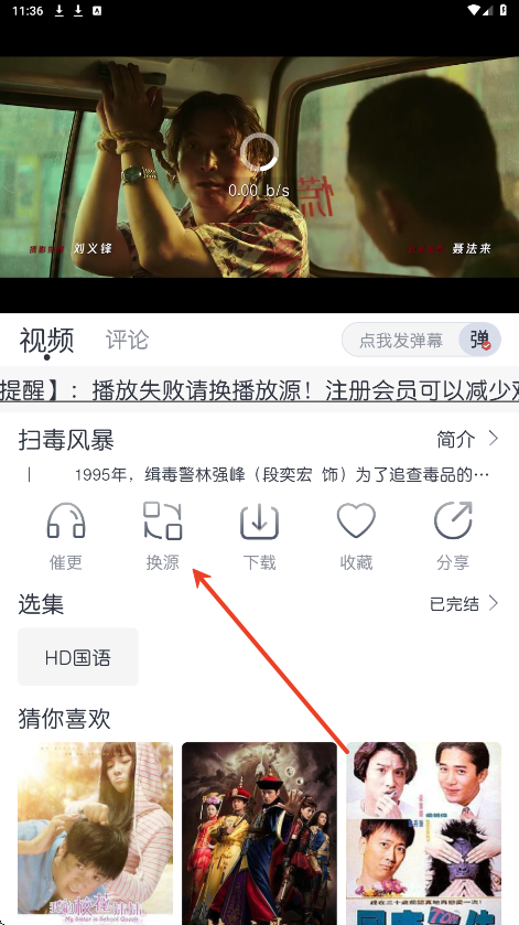 猫放时光