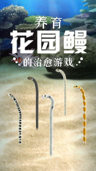 斑鳝花园