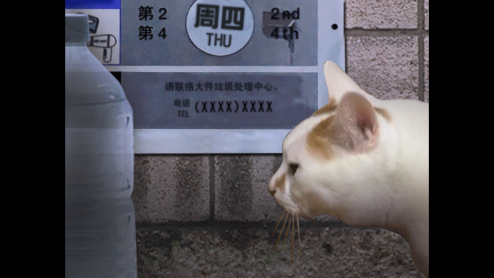 翌日猫之怪奇谭