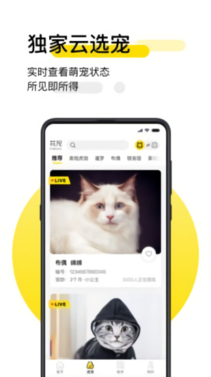 共宠
