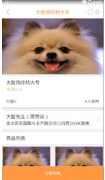 年惠宝