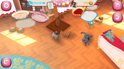 猫舍特别版