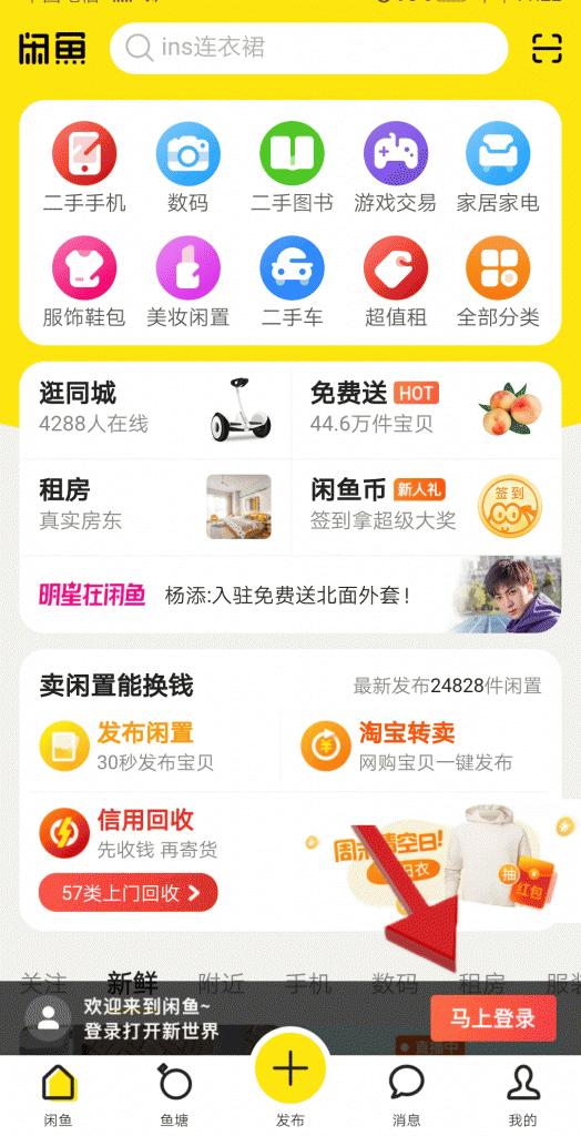 咸鱼