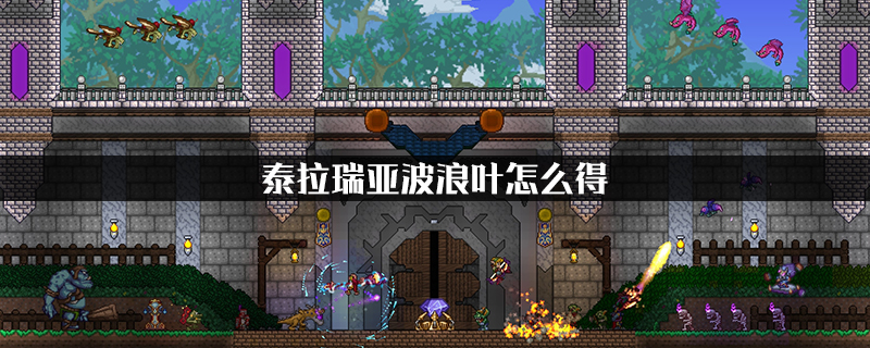 06155940xid3.jpg