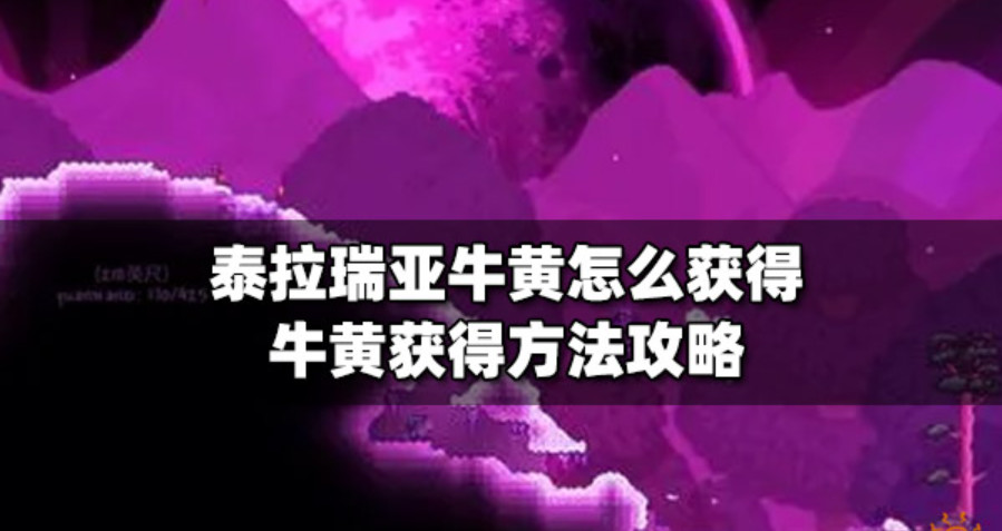 20230818133624.jpg