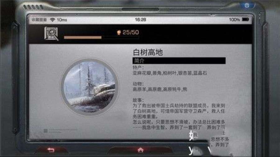 3.jpg