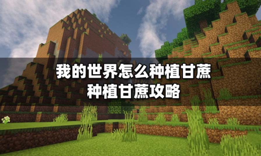 20230403101353.jpg