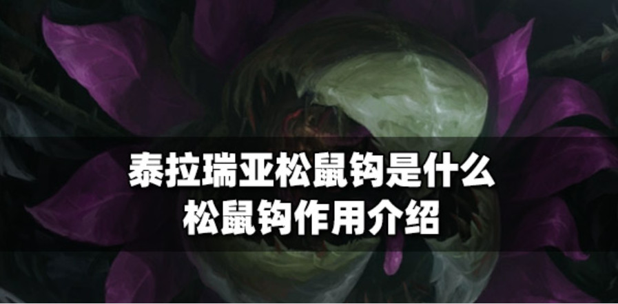 20230402103355.jpg