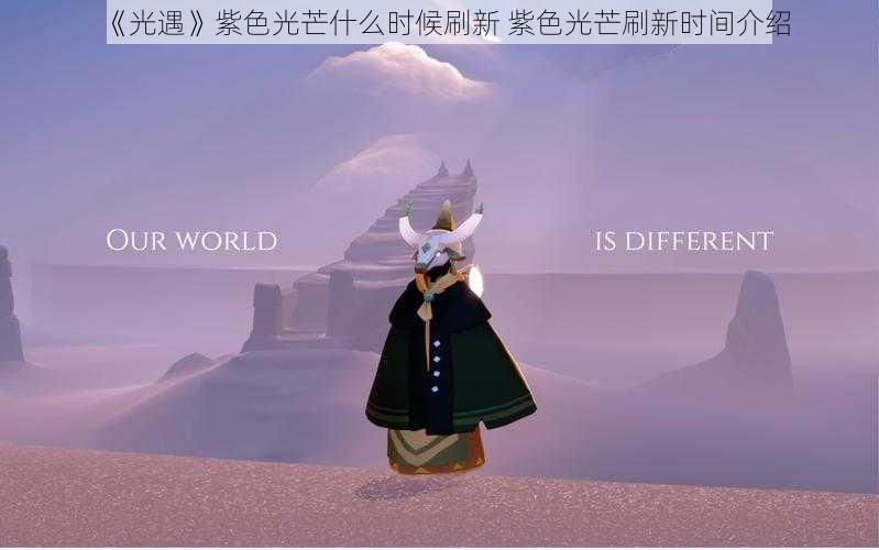20240903224805172537488578042.jpeg