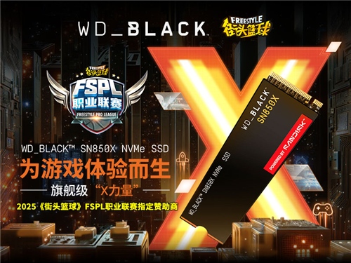 WD_BLACK SSD助力2025《街头篮球》FSPL职业联赛