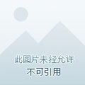 洛克王国拂影游侠技能表